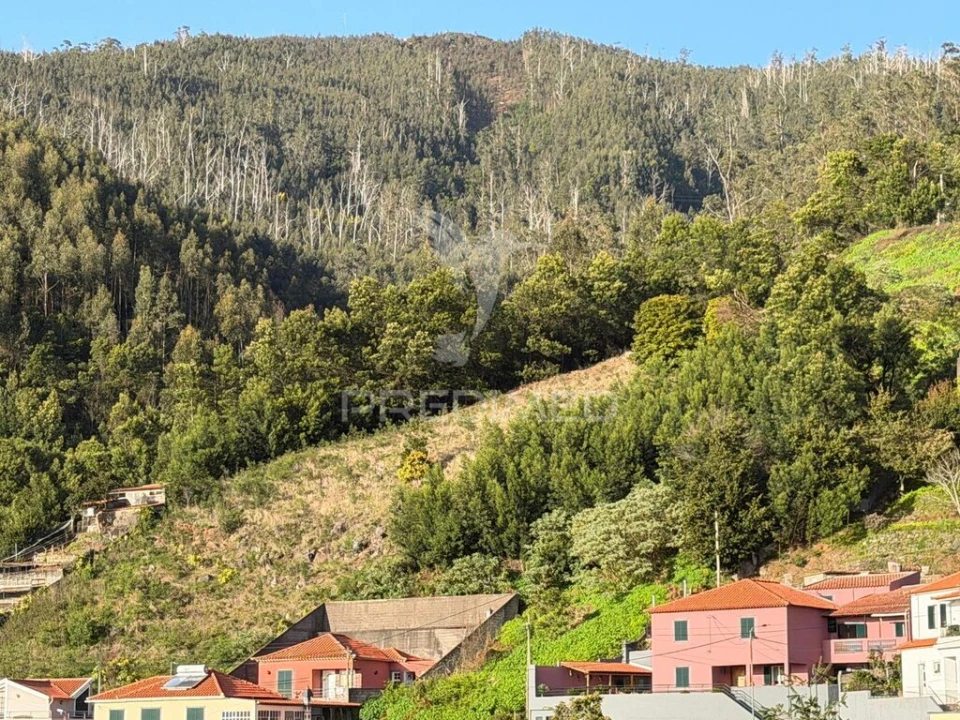 Terreno para Venda em Monte Foto 9