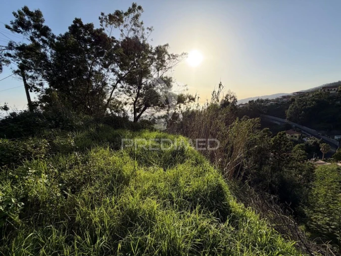 Terreno para Venda em Monte Foto 14