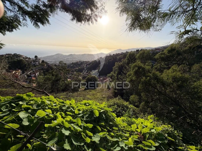 Terreno para Venda em Monte Foto 13