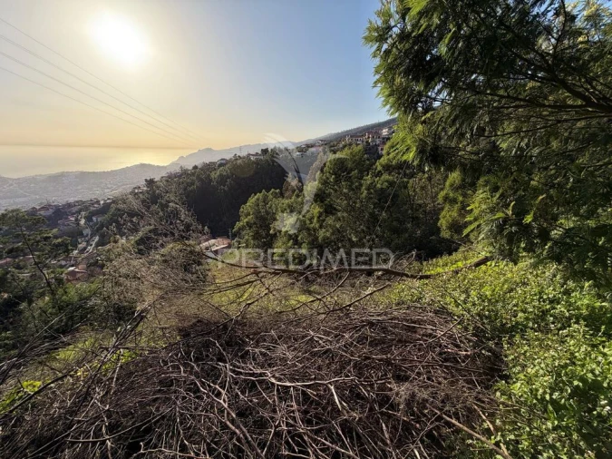 Terreno para Venda em Monte Foto 16