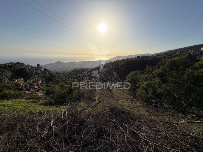 Terreno para Venda em Monte Foto 15