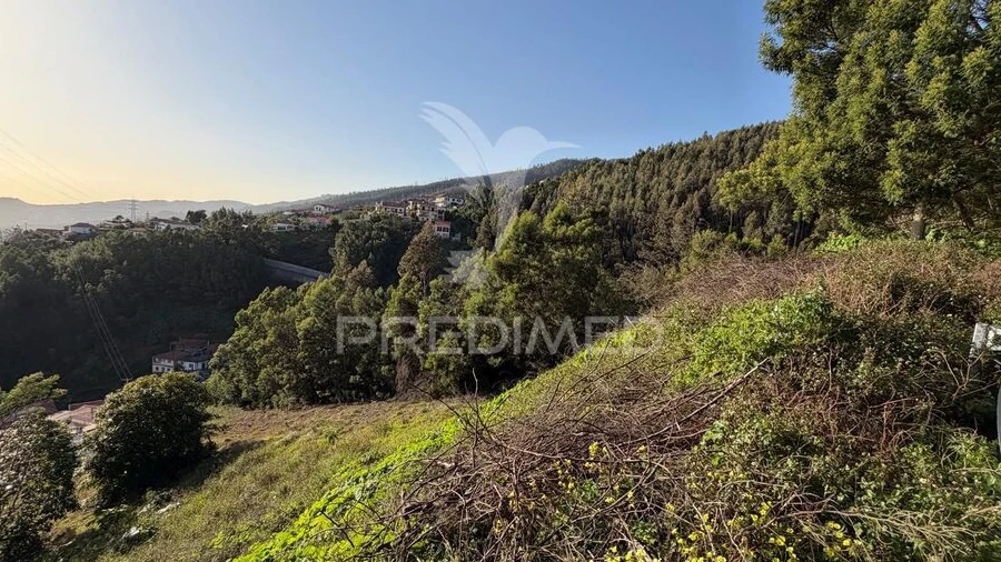 Terreno para Venda em Monte