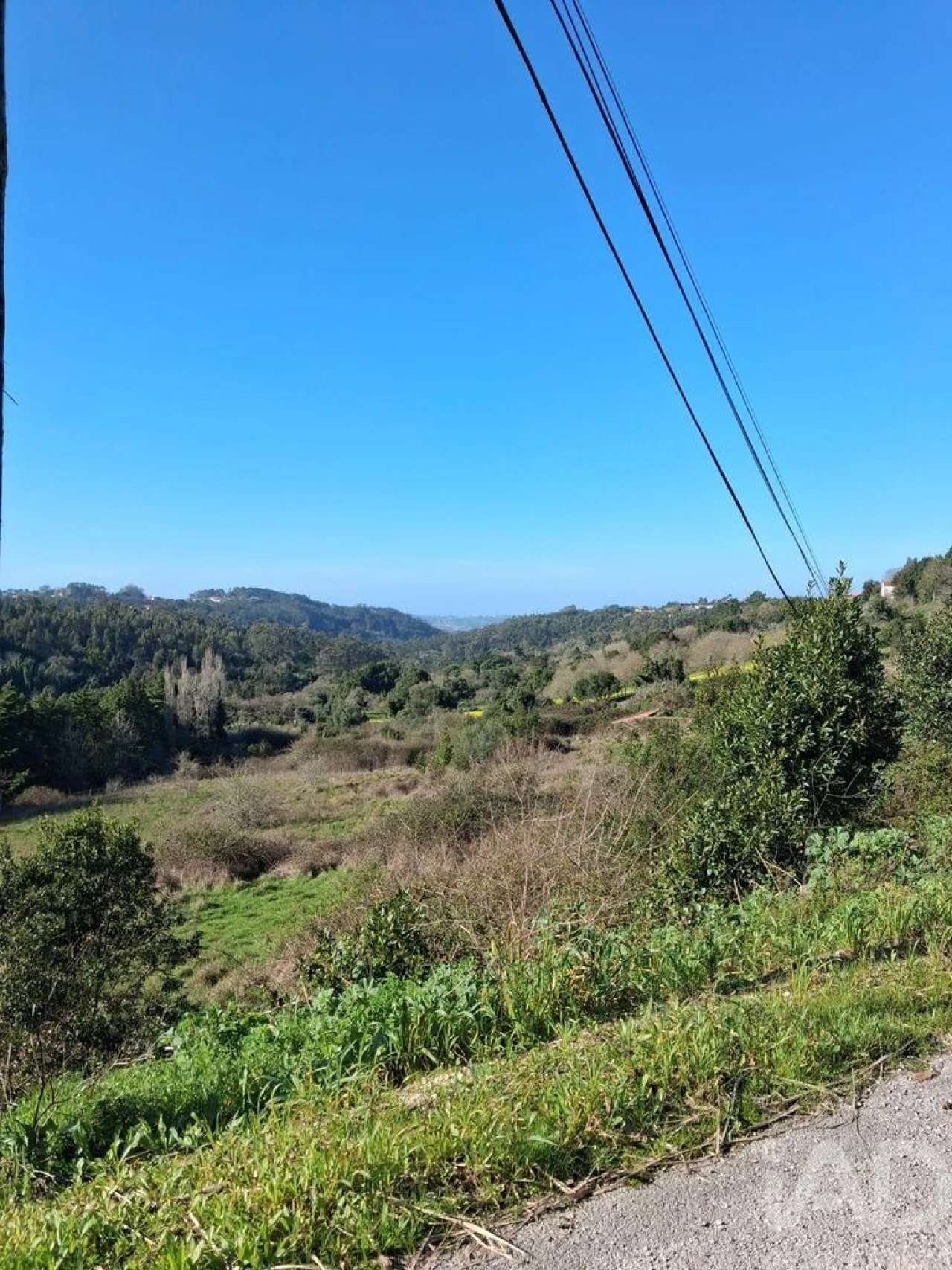 Terreno para Venda em Turquel Foto 4