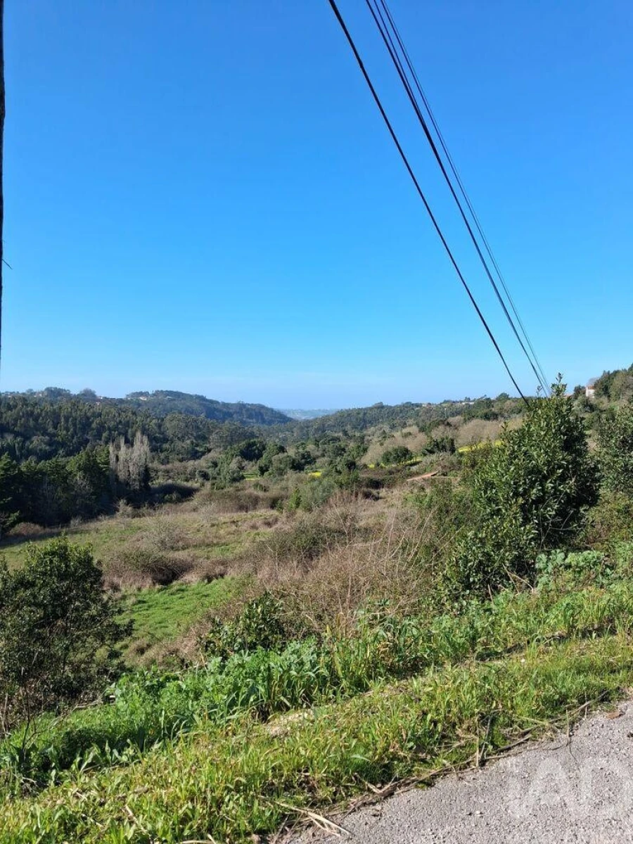 Terreno para Venda em Turquel Foto 4