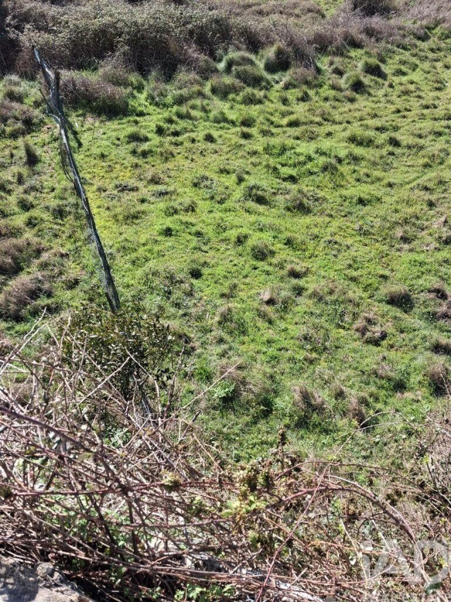 Terreno para Venda em Turquel Foto 6