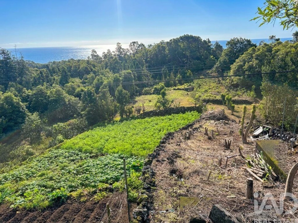 Moradia T1 para Venda em Lajes do Pico Foto 3