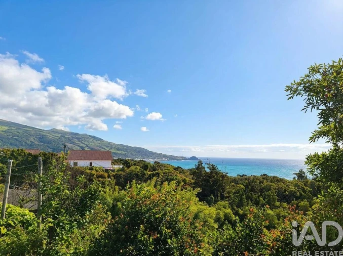 Moradia T1 para Venda em Lajes do Pico Foto 1