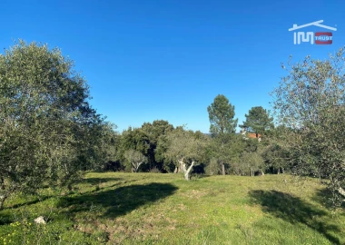 Terreno para Venda em Atouguia