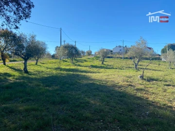 Terreno para Venda em Atouguia