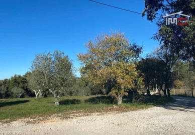 Terreno para Venda em Atouguia