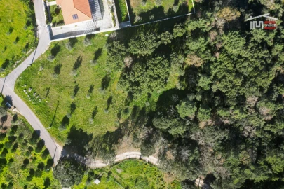 Terreno para Venda em Atouguia