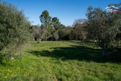 Terreno para Venda em Atouguia