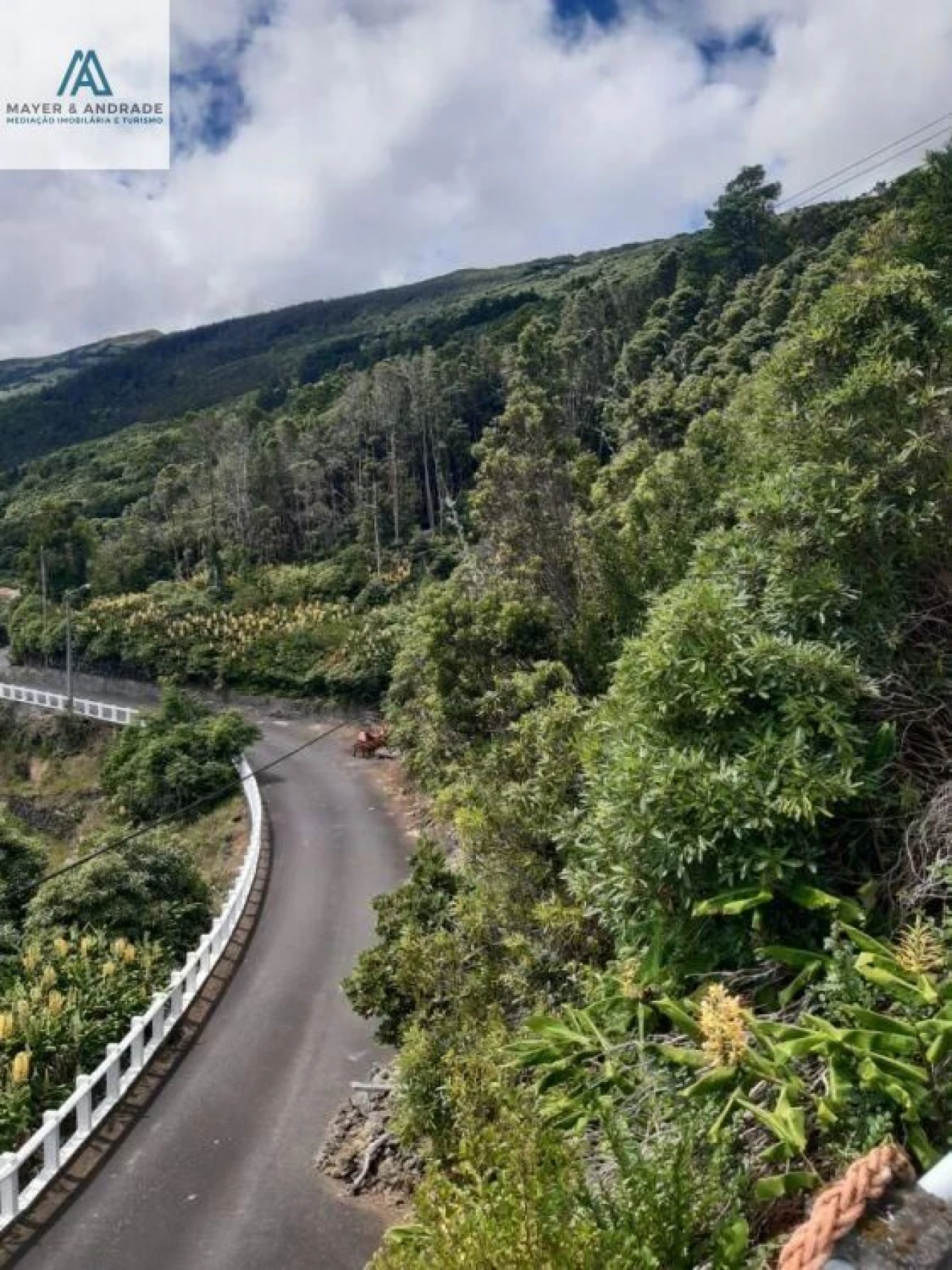 Moradia para Venda em Ribeiras Foto 26