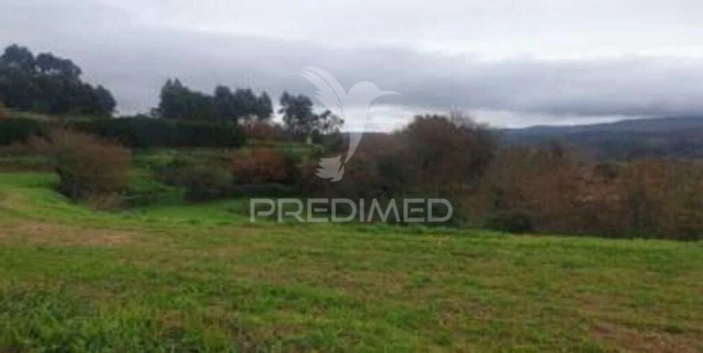 Terreno para Venda em Mozelos Foto 1