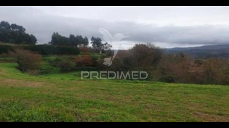 Terreno para Venda em Mozelos