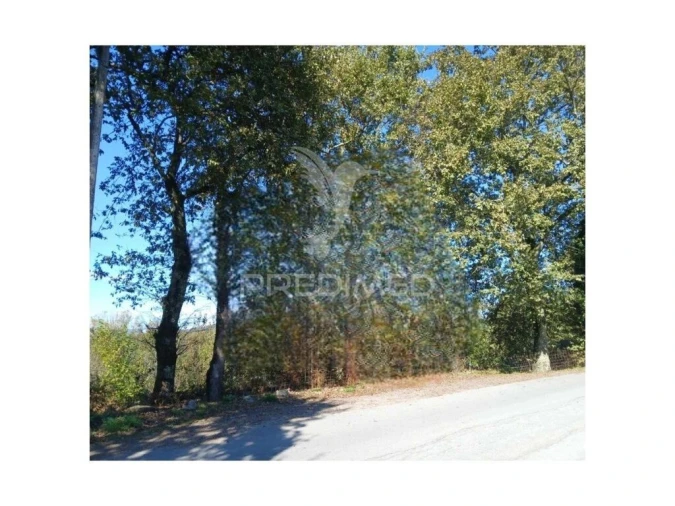 Terreno para Venda em Garfe Foto 4