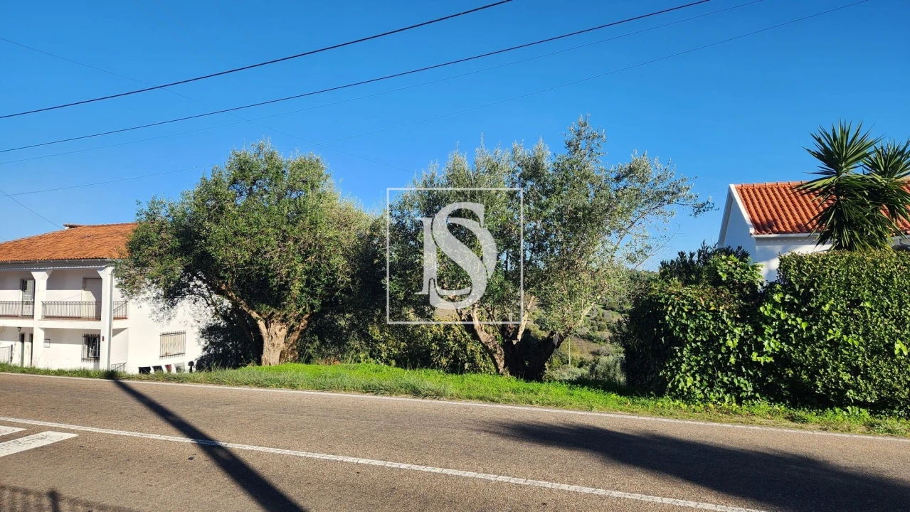 Terreno para Venda em Torres Novas (Santa Maria, Salvador e Santiago) Foto 1