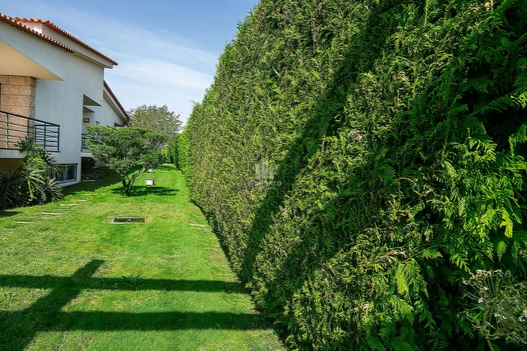 Moradia T6 para Venda em Figueiras e Covas Foto 45