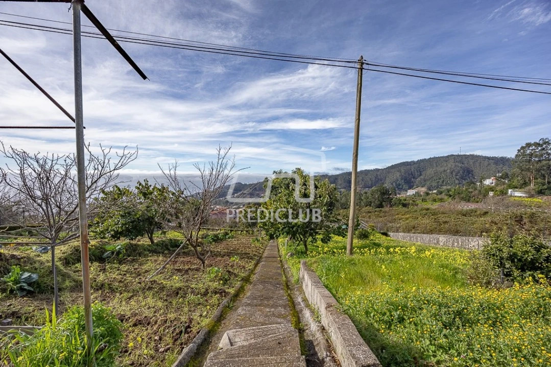 Moradia T2 para Venda em Camara de Lobos Foto 5