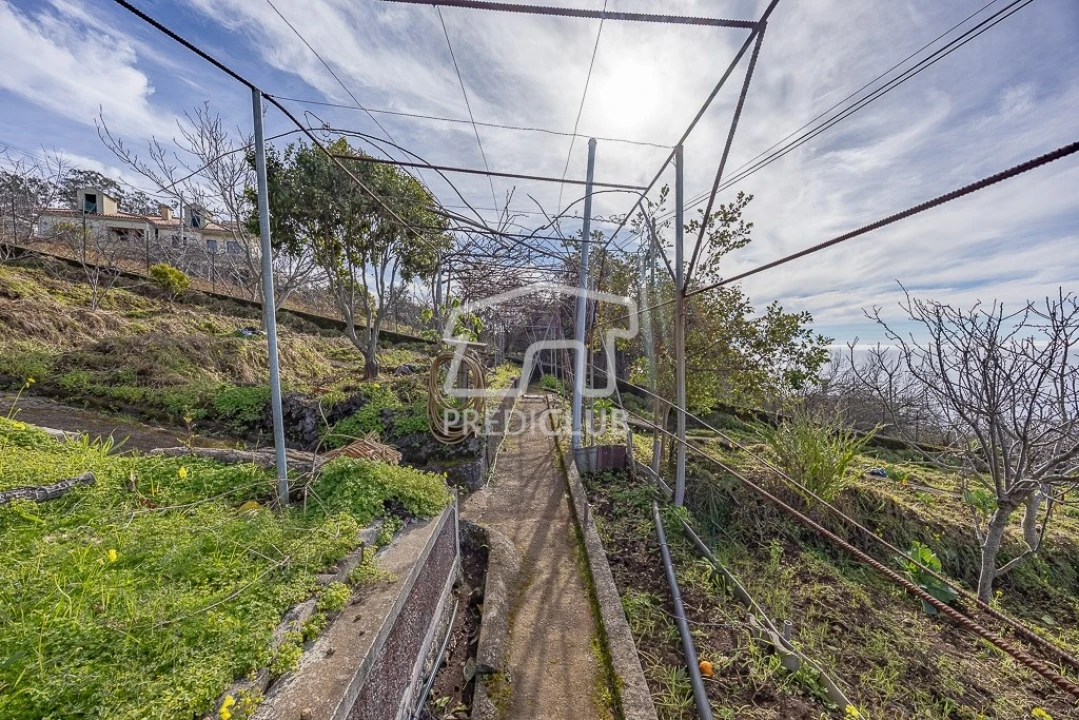 Moradia T2 para Venda em Camara de Lobos Foto 8