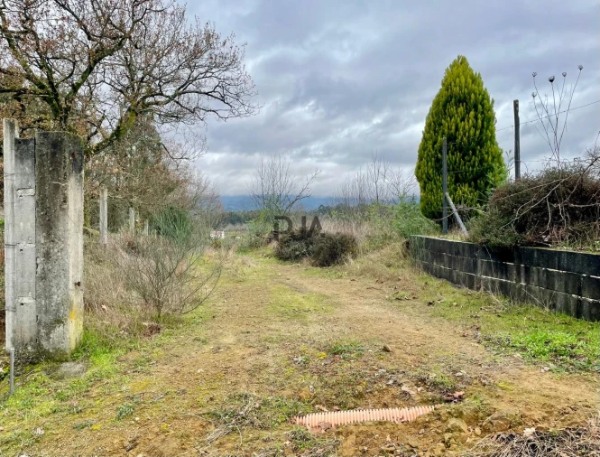 Quinta T5 para Venda em Vilar de Besteiros e Mosteiro de Fráguas Foto 11