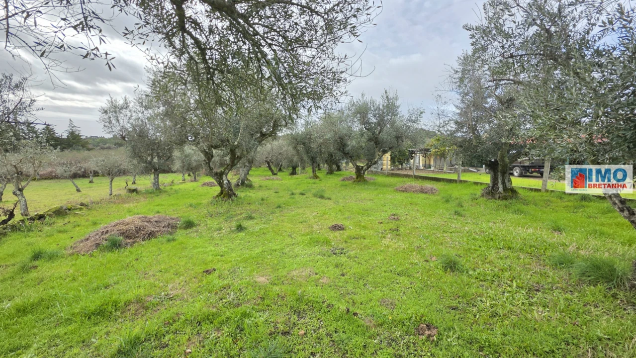 Terreno Agricola ou Rústico para Venda em Póvoa de Rio de Moinhos e Cafede Foto 3