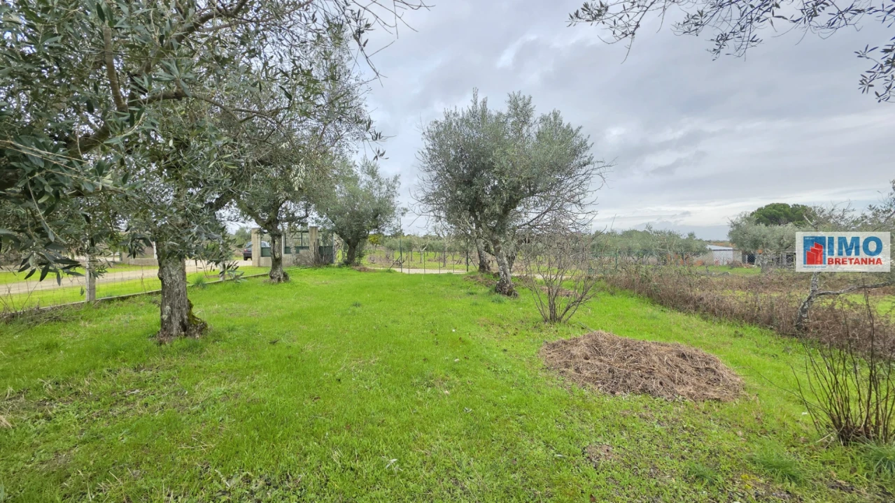 Terreno Agricola ou Rústico para Venda em Póvoa de Rio de Moinhos e Cafede Foto 5