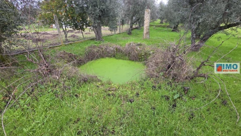 Terreno Agricola ou Rústico para Venda em Póvoa de Rio de Moinhos e Cafede