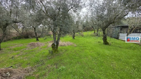 Terreno Agricola ou Rústico para Venda em Póvoa de Rio de Moinhos e Cafede