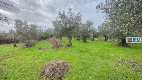 Terreno Agricola ou Rústico para Venda em Póvoa de Rio de Moinhos e Cafede