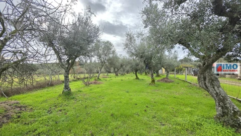 Terreno Agricola ou Rústico para Venda em Póvoa de Rio de Moinhos e Cafede
