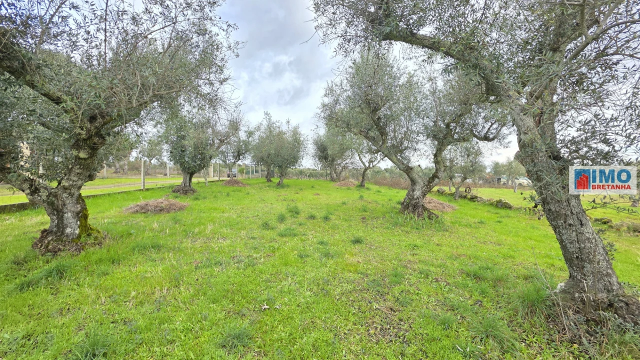 Terreno Agricola ou Rústico para Venda em Póvoa de Rio de Moinhos e Cafede Foto 7