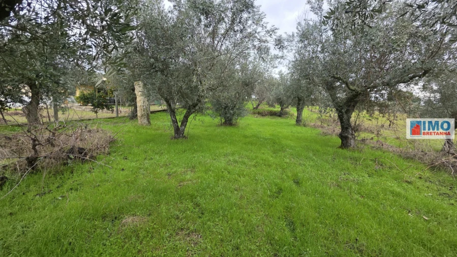 Terreno Agricola ou Rústico para Venda em Póvoa de Rio de Moinhos e Cafede Foto 12