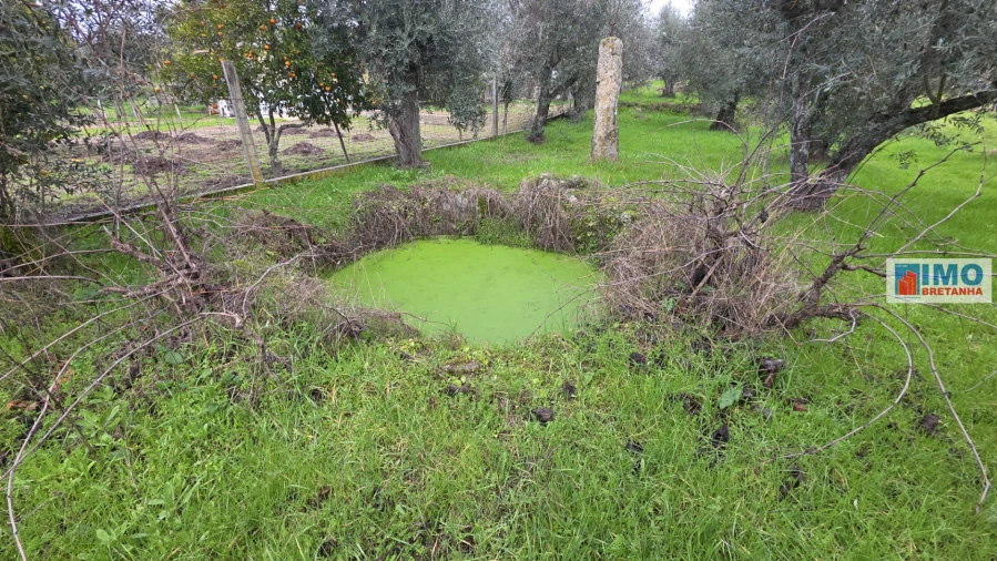 Terreno Agricola ou Rústico para Venda em Póvoa de Rio de Moinhos e Cafede Foto 4