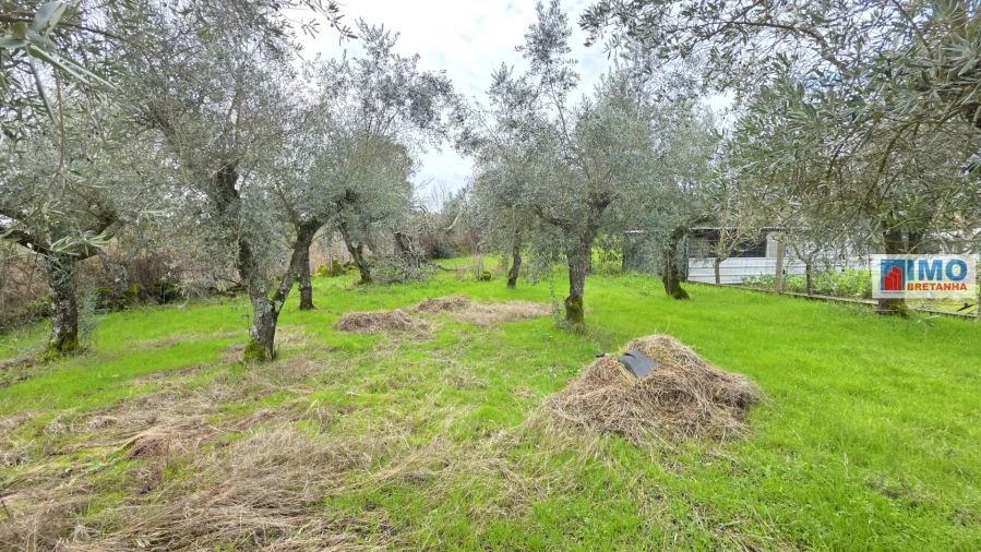 Terreno Agricola ou Rústico para Venda em Póvoa de Rio de Moinhos e Cafede Foto 9