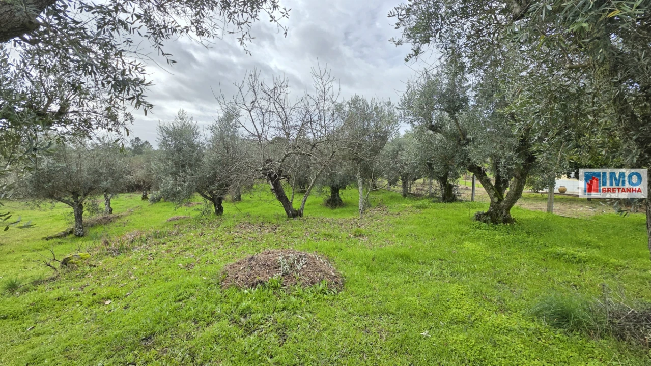 Terreno Agricola ou Rústico para Venda em Póvoa de Rio de Moinhos e Cafede Foto 6