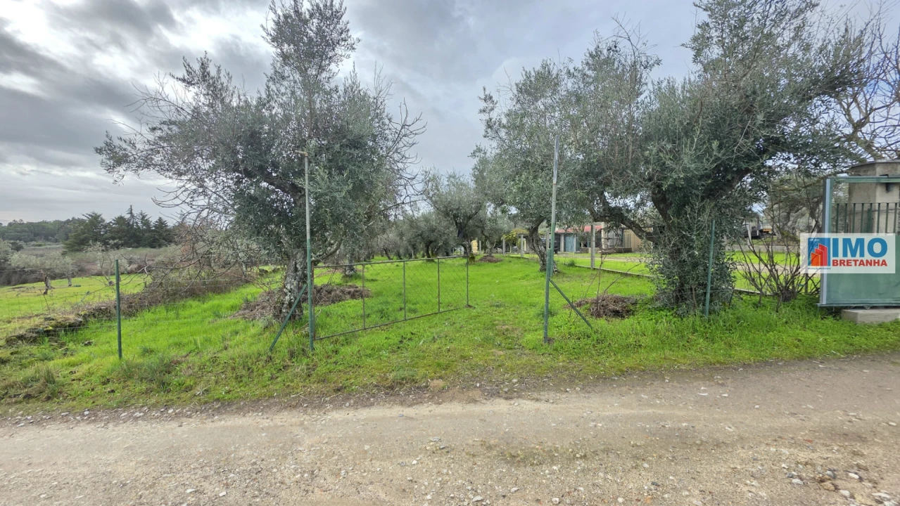 Terreno Agricola ou Rústico para Venda em Póvoa de Rio de Moinhos e Cafede Foto 1