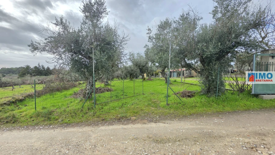 Terreno Agricola ou Rústico para Venda em Póvoa de Rio de Moinhos e Cafede