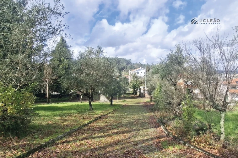 Moradia T5 para Venda em Meinedo Foto 3