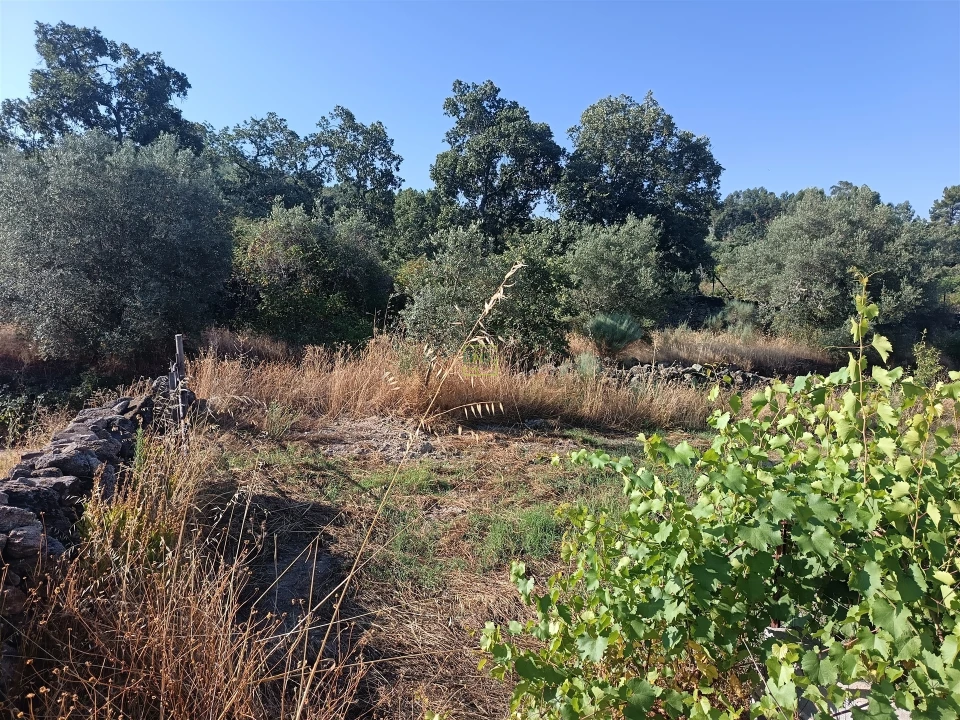 Terreno Agricola ou Rústico para Venda em Salvador Foto 7