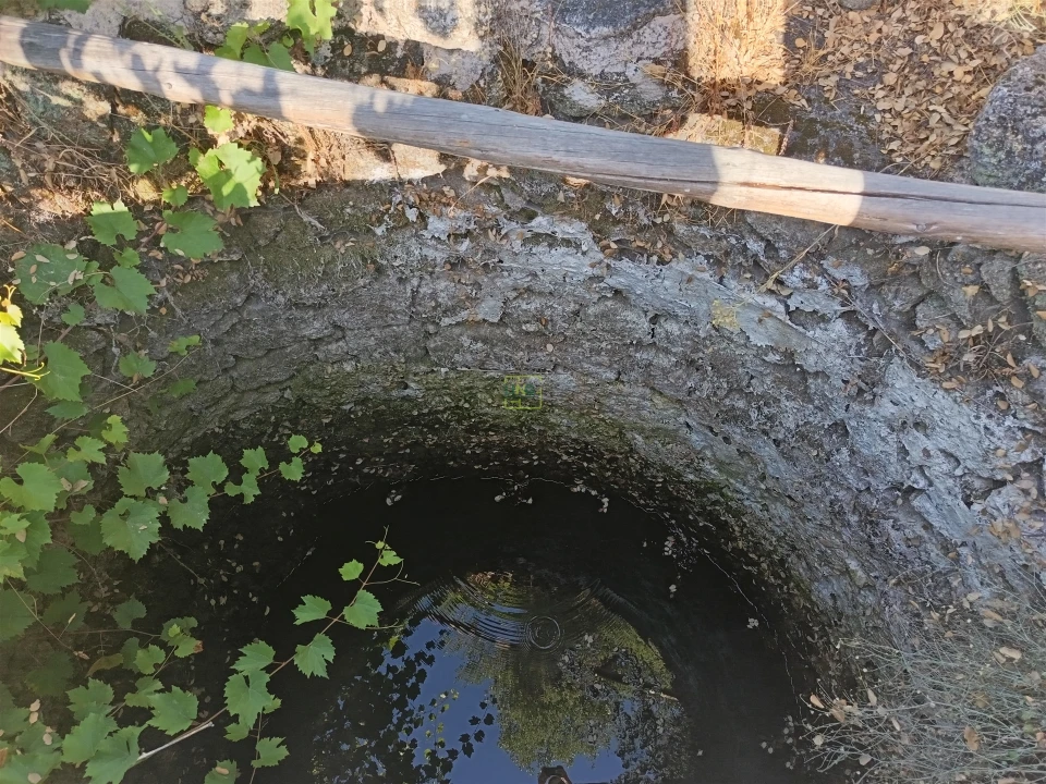 Terreno Agricola ou Rústico para Venda em Salvador Foto 4