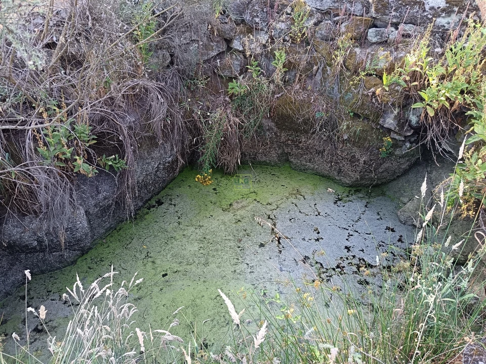 Terreno Agricola ou Rústico para Venda em Salvador Foto 18