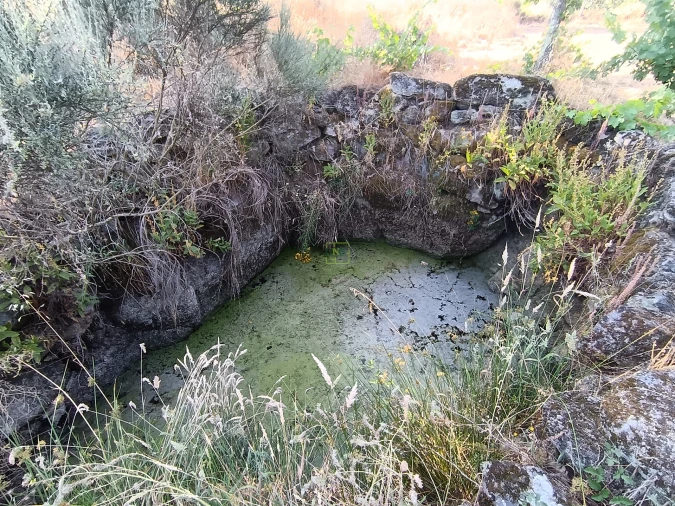 Terreno Agricola ou Rústico para Venda em Salvador Foto 19