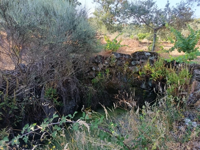 Terreno Agricola ou Rústico para Venda em Salvador Foto 17