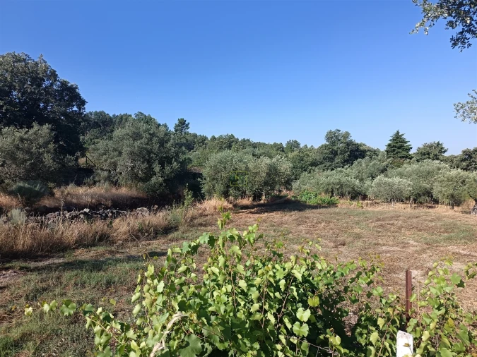 Terreno Agricola ou Rústico para Venda em Salvador Foto 8