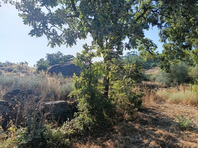 Terreno Agricola ou Rústico para Venda em Salvador Foto 10