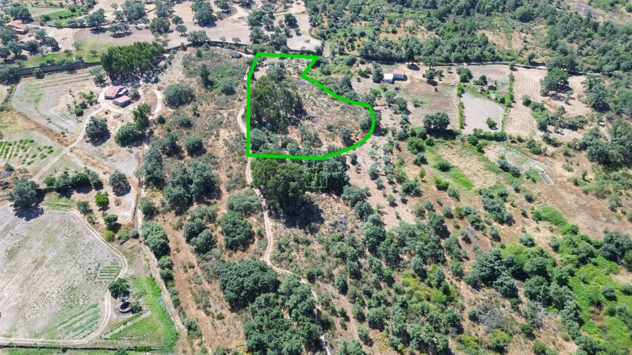 Terreno Agricola ou Rústico para Venda em Salvador Foto 41