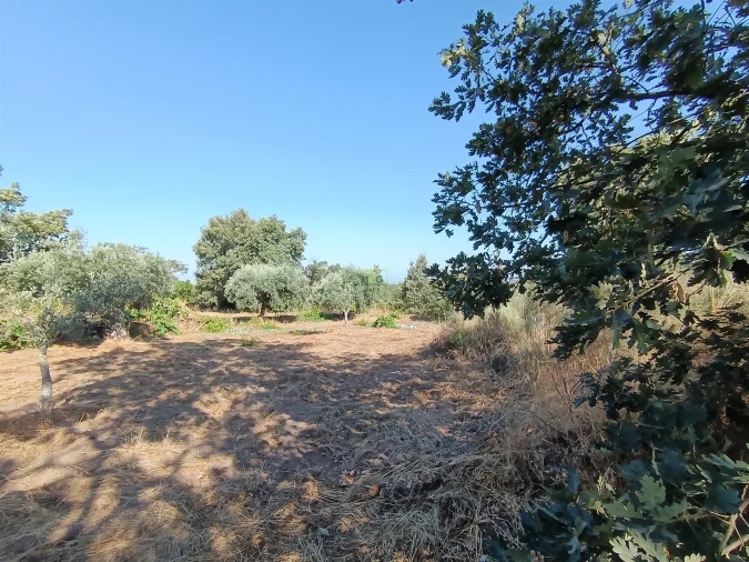 Terreno Agricola ou Rústico para Venda em Salvador Foto 24