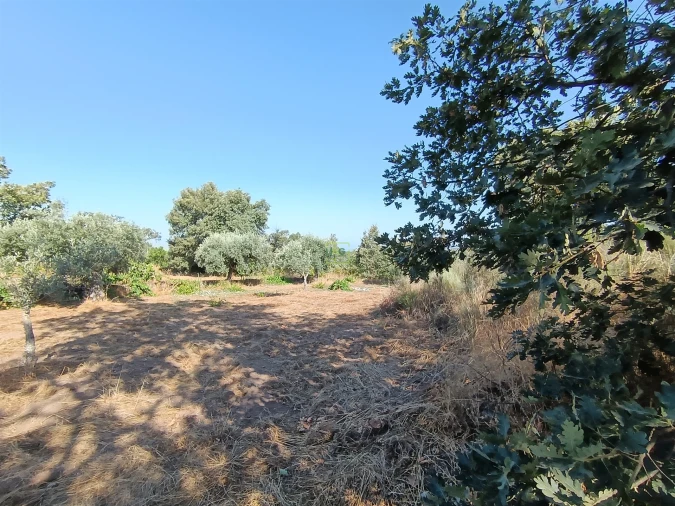 Terreno Agricola ou Rústico para Venda em Salvador Foto 25