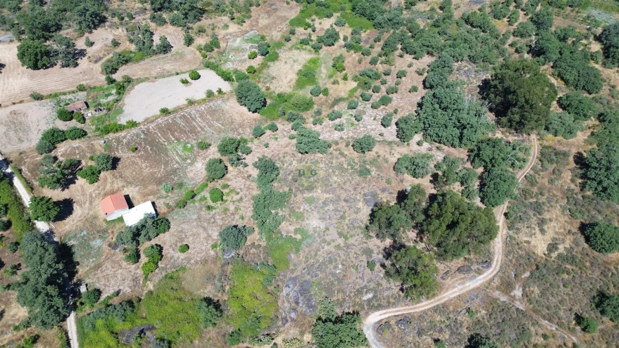 Terreno Agricola ou Rústico para Venda em Salvador Foto 34